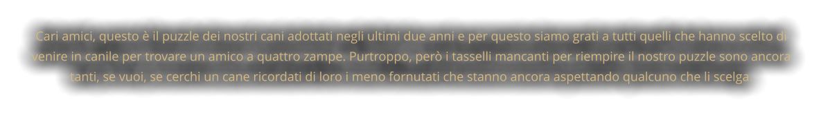 Cari amici, questo è il puzzle dei nostri cani adottati negli ultimi due anni e per questo siamo grati a tutti quelli che hanno scelto di venire in canile per trovare un amico a quattro zampe. Purtroppo, però i tasselli mancanti per riempire il nostro puzzle sono ancora tanti, se vuoi, se cerchi un cane ricordati di loro i meno fornutati che stanno ancora aspettando qualcuno che li scelga.